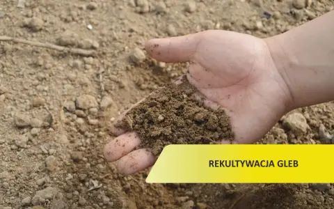 Dłoń trzyma żyzną ziemię, symbolizującą przywrócenie gruntu do produkcji rolnej. Rekultywacja gleb to klucz do urodzaju.