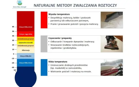 Enterokoki giną w temperaturze poniżej -20°C, co pokazuje wykres. Niska temperatura, nawet -20°C, zabija je w kilka minut.